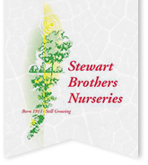 Stewart Brothers Nursery logo